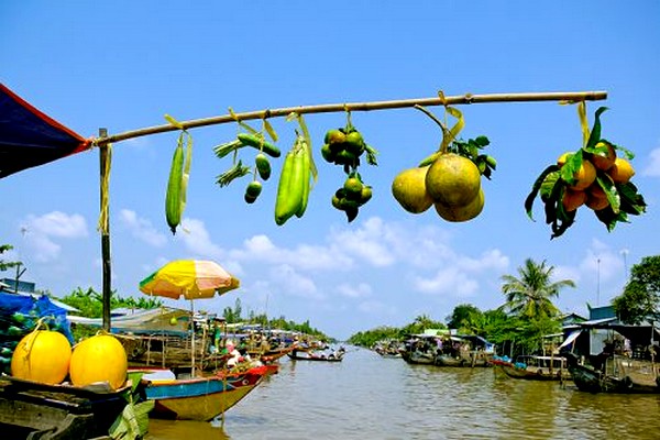 Meilleures sites de voyage au sud du Vietnam